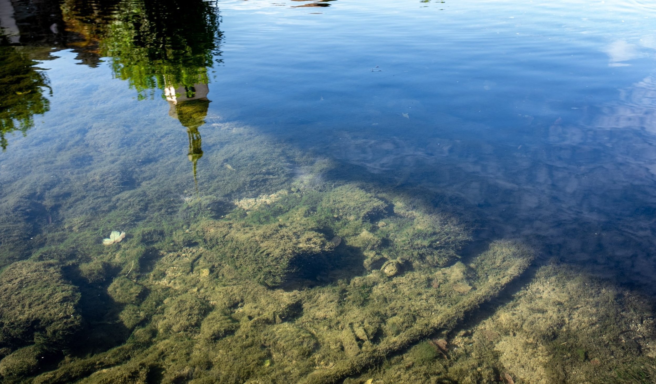 Rivière de la Loue, Ornans, octobre 2023.