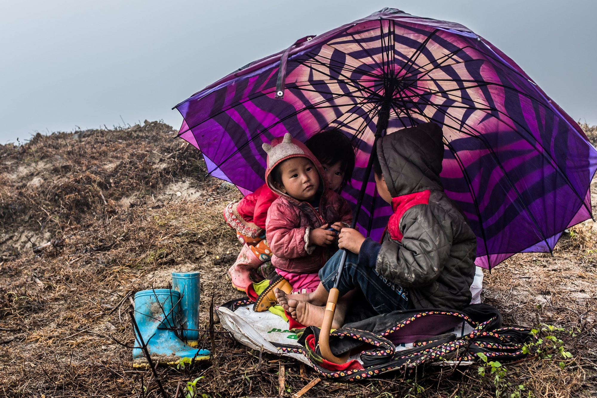 Enfants Hmong dans la brume, Vietnam