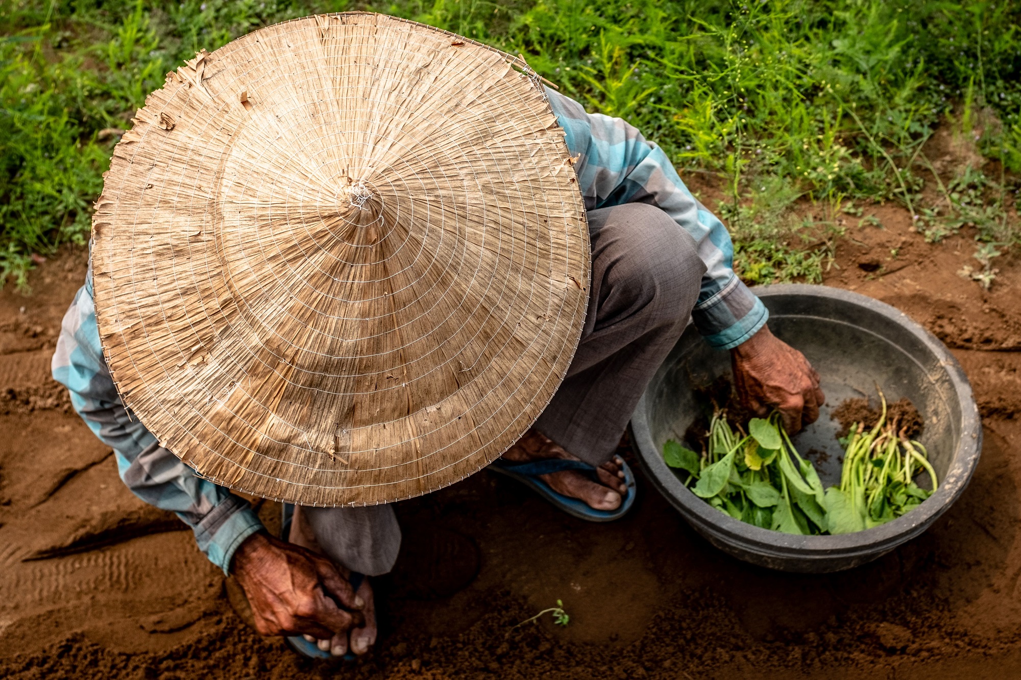 L'Agriculteur, Hoi An, Vietnam