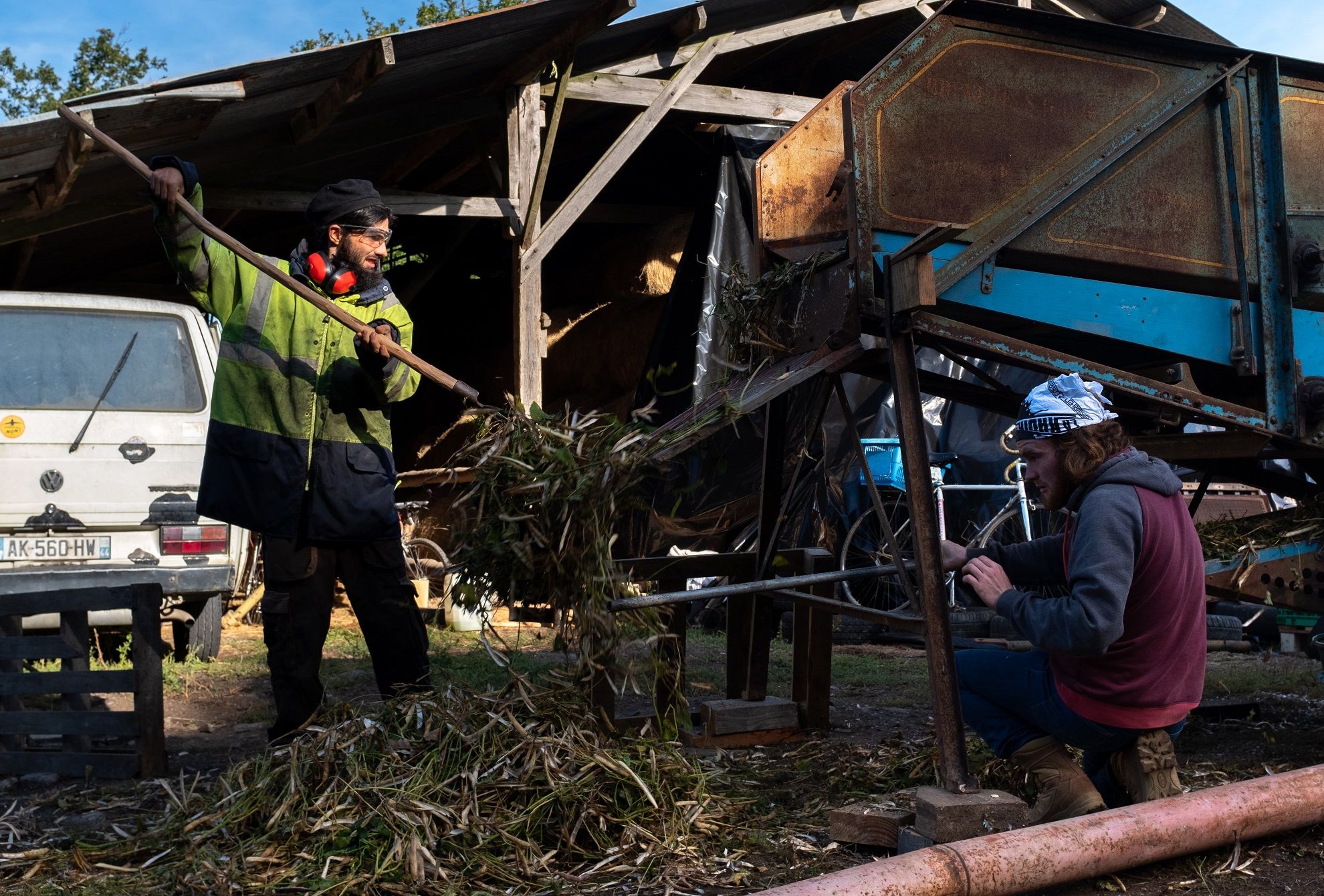 Battage de haricots à Notre-Dame-des-Landes